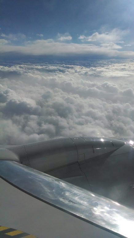 IMG_20140311_174922516