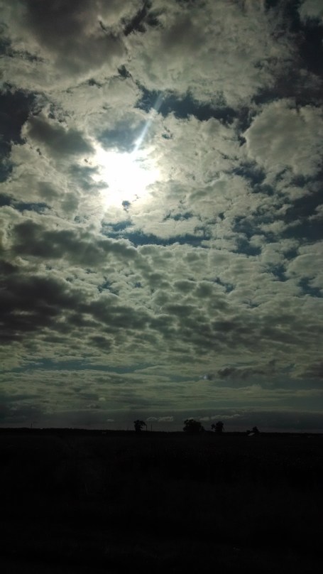 IMG_20140702_172125438