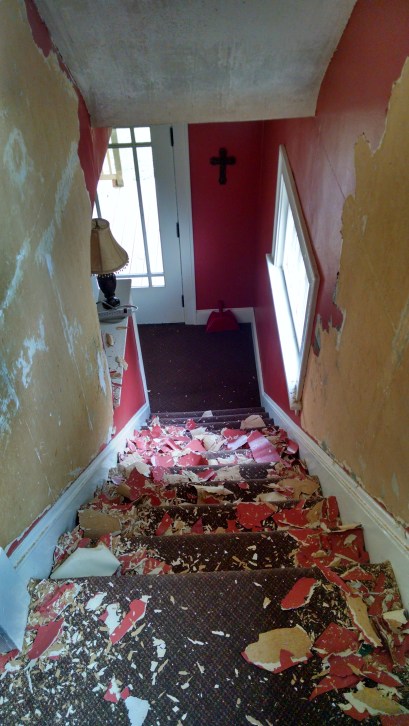 IMG_20140901_120601194_HDR