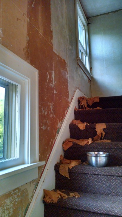 IMG_20140902_074116815_HDR