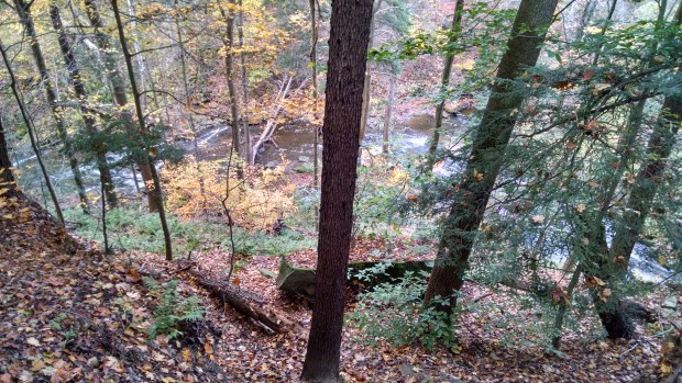 IMG_20141019_180651753_HDR