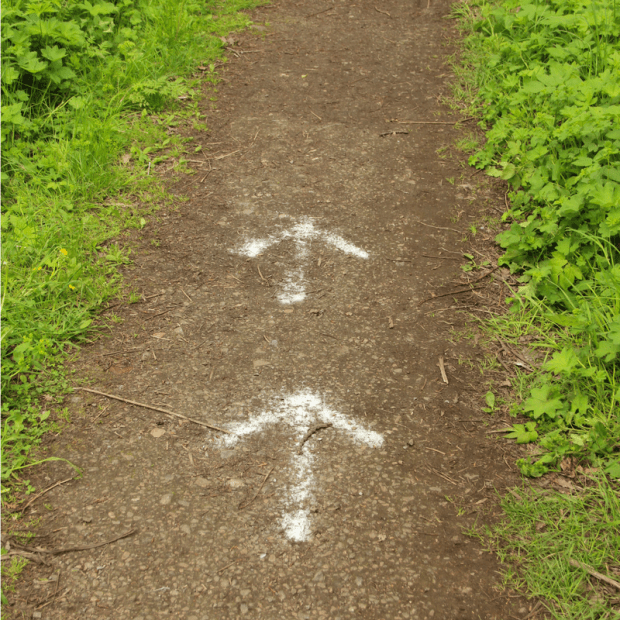 Midlife Monday - Arrow Path